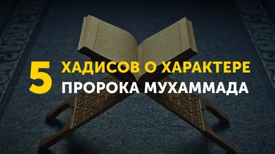 Ислам Религия Мира и Добра#Напоминание Верующим #Хадисы Пророка Мухамм... |  TikTok