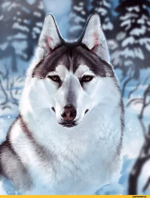 Две собаки хаски лежат на снегу, …» — создано в Шедевруме