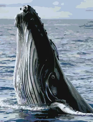 Три крупных красивых кита, в пенном…» — создано в Шедевруме