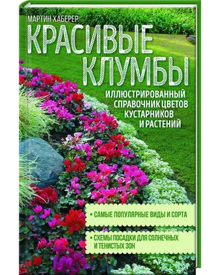 Удомельский городской округ - Сохраним красивые клумбы в нашем округе?