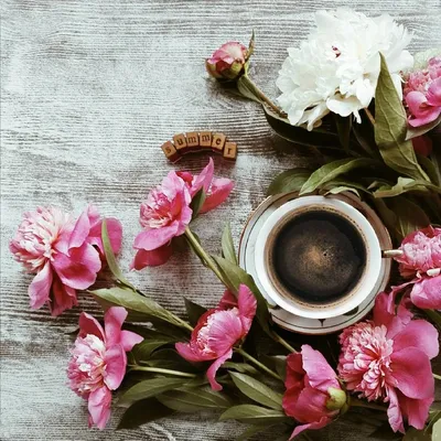 Кофе и весна картинки красивые - 69 фото