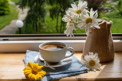 Чашка черного кофе и садовые цветы на подоконнике под лучами солнца, и красивые  цветы. | Премиум Фото