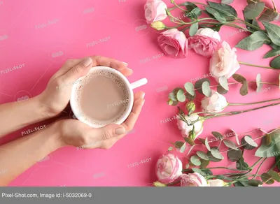 Хочу цветы и кофе, цветочная кофейня, улица Самойловой, 14, Мурманск — 2ГИС
