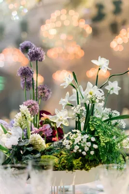 Купить свежие цветы в интернет-магазине  - выгодные цены и  круглосуточная доставка - Необычные цветочные композиции в Гомеле