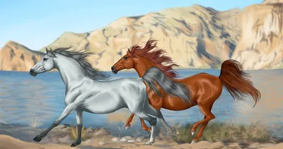 Самые дорогие и красивые породы лошадей | Интересные факты на разные темы |  Дзен