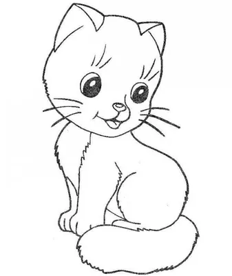 Рисунки для срисовки котики: красивые и легкие | Cartoon cat drawing, Cute  cat drawing, Cat sketch