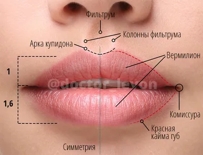 молодой красивый мужчина в гостях у женщины врача косметолога Фото Фон И  картинка для бесплатной загрузки - Pngtree