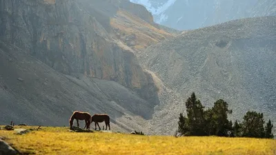 Красивые кыргызстана картинки