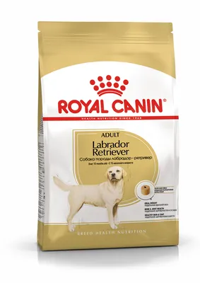 Корм для взрослых собак породы лабрадор-ретривер, Royal Canin Labrador  Retriever Adult купить с доставкой в интернет-магазине зоогастроном.ру