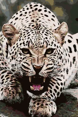 Купить картина по номерам Красиво Красим Леопард Нападение, 80 х 120 см,  цены на Мегамаркет | Артикул: 600004451928