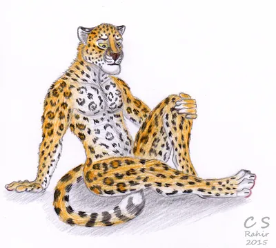 Chiakiro :: snow leopard :: animal art :: красивые картинки :: леопард ::  art (арт) / картинки, гифки, прикольные комиксы, интересные статьи по теме.