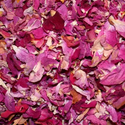 Как правильно засушить лепестки роз — Читайте в блоге «Городской Базы Цветов »