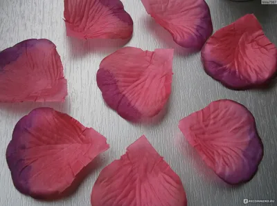 Искусственные лепестки AliExpress Silk Rose Petals - «Имитация лепестков роз,  очень симпатичный реквизит для красивых фотографий)» | отзывы