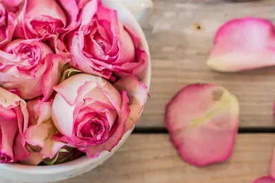 Купить лепестки роз в Самаре. Заказать лепестки роз с доставкой в  интернет-магазине «Букет Юг»