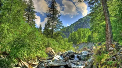 Самые красивые места на Алтае для отдыха - фото | Большая Страна