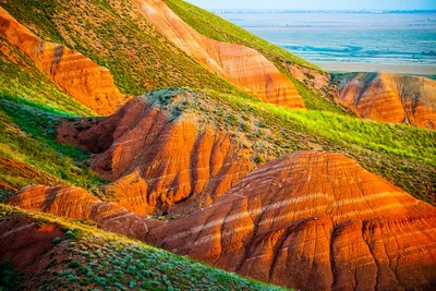 Скрытые жемчужины России: Самые красивые леса | Книга растений | Дзен