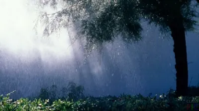 Rain, thunder, thunderstorm Relaxing sounds of nature Sleeping sounds of  summer rain - YouTube