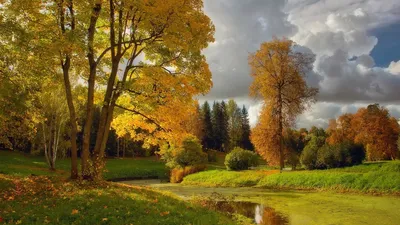 Природа осень листопад (72 фото) »