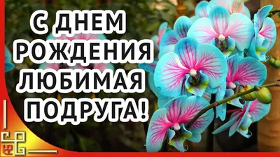 С днем рождения любимая подруга! Самой лучшей подруге! | С днем рождения,  Поздравительные открытки, День рождения