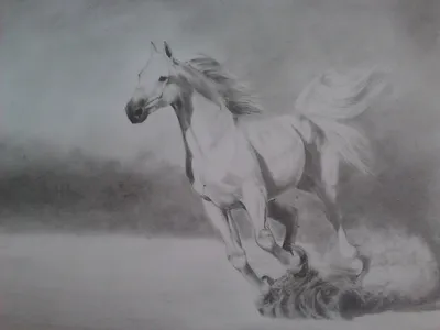 Уроки рисования. Как научиться рисовать лошадь карандашом | Art School -  YouTube