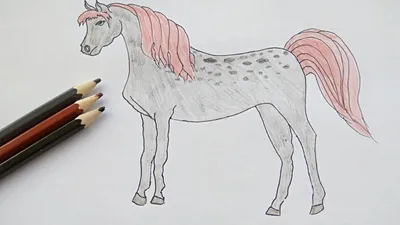 Рисуем лошадь карандашом|Draw a horse with a pencil #drawing - YouTube