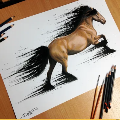 Красивые и реалистичные рисунки животных | FLATONIKA
