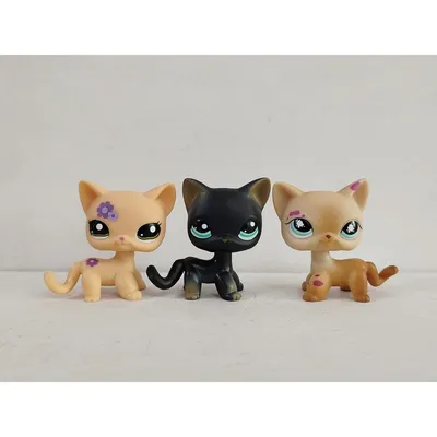 Отзывы о игровой набор Littlest Pet Shop Hasbro Радужная колллекция 2  радужных пета C0794 - отзывы покупателей на Мегамаркет | игровые фигурки  C0794 - 100023249269