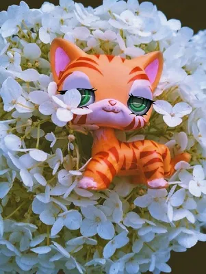  on Instagram: “#lps #littlestpetshop #lpsphotography  #lpsnature Do not repost.” | Lps littlest pet shop, Lps cats, Littlest pet  shop