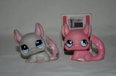 Купить Фигурка LPS, 3 шт./лот, домашнее животное, кошка, собака, Littlest  Pet Shop, детская игрушка #2005 | Joom