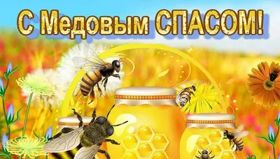 🐝Медовый Спас красивые поздравления в Медовый Спас🐝поздравляю с Медовым  ... | Картинки, Праздник, Христианский праздник