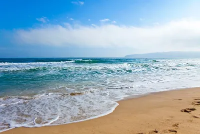 Море пляж пальмы солнце (59 фото) - 58 фото