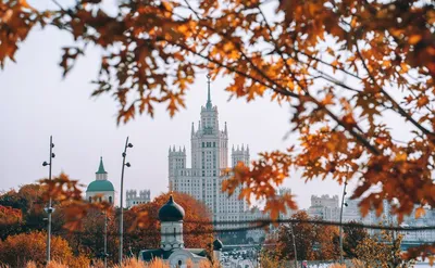 Где турагентам взять бесплатные фотографии. Москва подает пример другим  регионам | Ассоциация Туроператоров