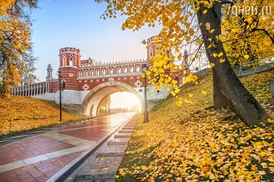 Названы новые красивые места Москвы для фотосессий - Российская газета