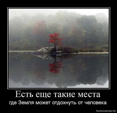 Красивые демотиваторы или мотиваторы, я не знаю, честно »  -  Источник Хорошего Настроения