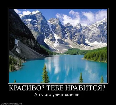 Демотиваторы. Смешные картинки с надписями которые незаслуженно забыли.  Подборка для ностальгии | Блог Харольда Торсена | Дзен