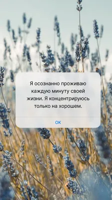 Блокнот для записей и творчества. Prof Press - «Еще одна партия чистых и  красивых блокнотов в коллекцию.» | отзывы