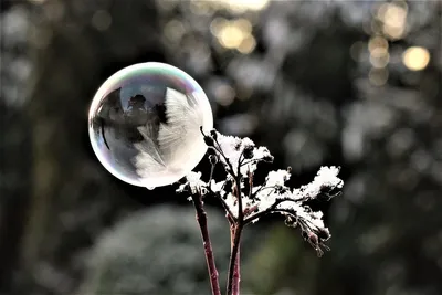 Фото мыльных пузырей »  развлекательный портал