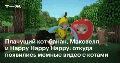 Кошка с подрисованной короной и макияжем — Картинки на аву | Котята, Кошки,  Животные