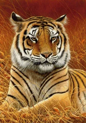 Картинки на аву тигр - 79 фото