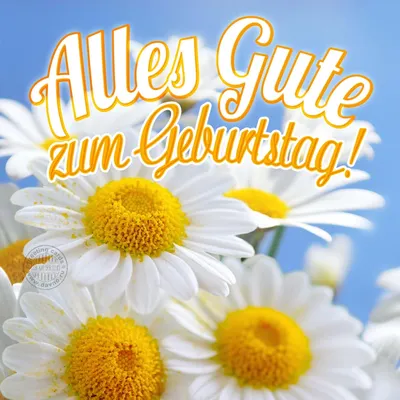 55 фраз о любви на немецком языке | 