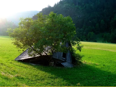 Красивые дома на природе (60 фото) - 60 фото