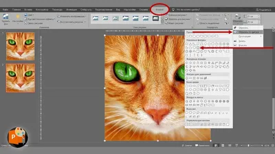 100 шаблонов презентаций PowerPoint, которые можно скачать бесплатно