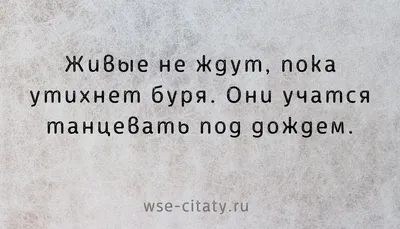 Самые красивые цитаты о жизни -  | Красивые цитаты, Мудрые  цитаты, Цитаты