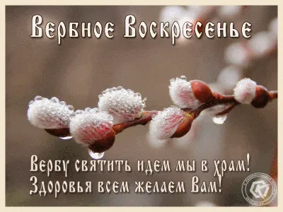 Поздравления с Вербным воскресеньем 2020 и праздничные открытки - «ФАКТЫ»