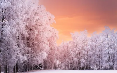 Картинки вода, горы, деревья, зима, красивые, небо, природа, снег,  широкоформатные - обои 1600x900, картинка №128888