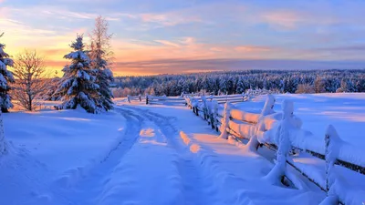 Обои Красивая зима, картинки - Обои для рабочего стола Красивая зима фото  из альбома: (природа)
