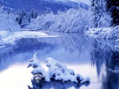 12 лучших картинок про зиму с красивыми подписями