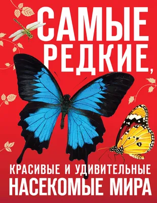 Язык бабочек: Как воры, коллекционеры и ученые раскрыли секреты самых красивых  насекомых в мире / Животные / Книги / Альпина нон-фикшн