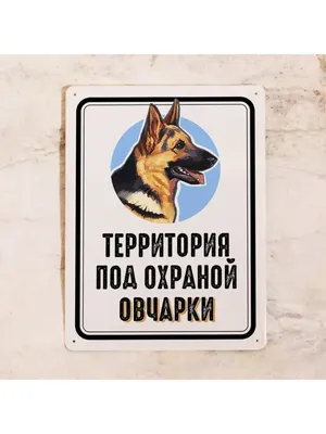 Декоративная жесть Металлическая табличка Территория под охраной немецкой  овчарки, красивая собака, металл, 20х30 см