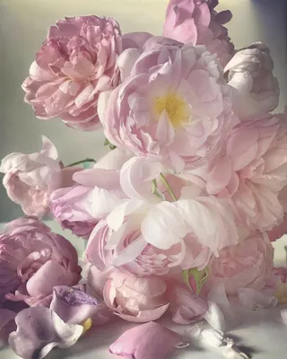 Открытки с днем рождения нежные цветы - 39 фото | Hiasan meja bunga,  Rangkaian bunga, Bunga-bunga indah